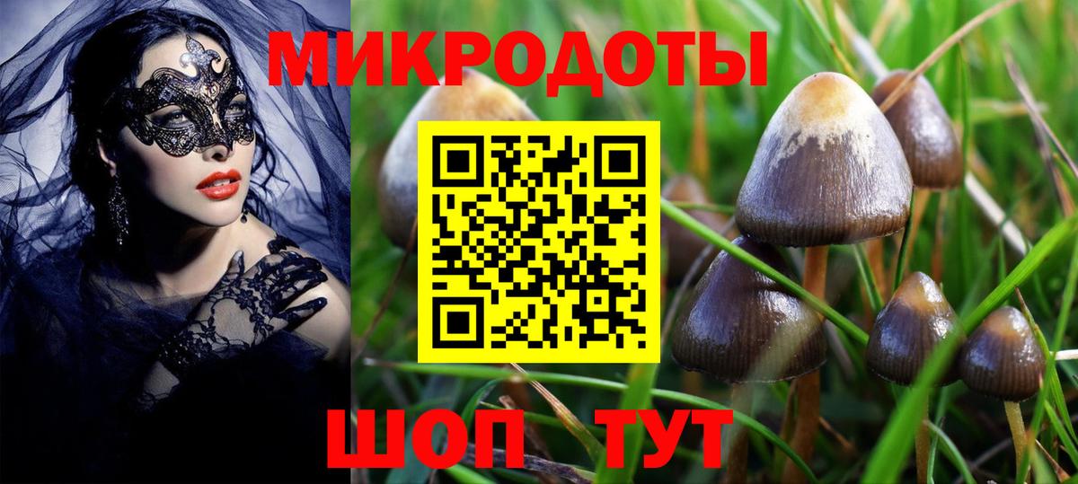 Псилоцибиновые грибы GOLDEN TEACHER Старый Оскол